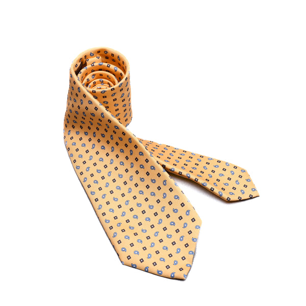 Paisley Printed Silk Tie in Yellow
