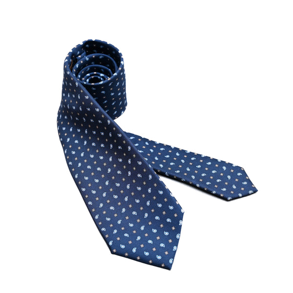 Paisley Printed Silk Tie in Blue