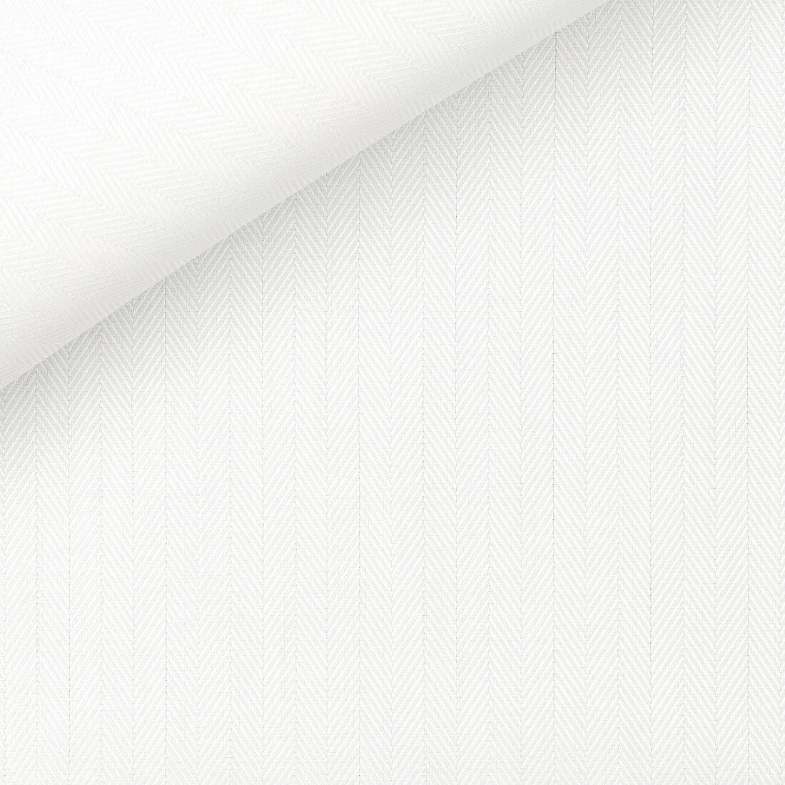 White Herringbone 100% Cotton Shirt in "Albini's Duke"